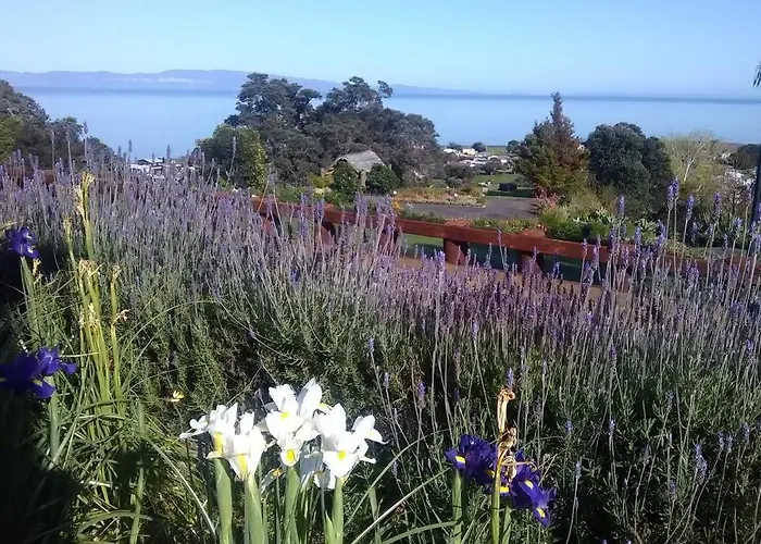 La Casa Te Puru Lodge